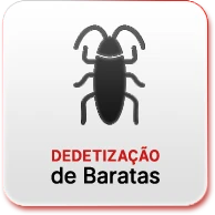 FG Dedetizadora - Dedetização de Baratas - Rio de Janeiro 