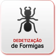 FG Dedetizadora - Dedetização de Formigas