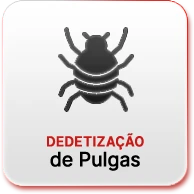 FG Dedetizadora - Dedetização de Pulgas - Rio de Janeiro