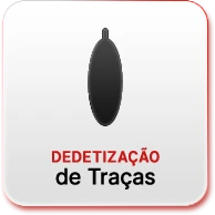 FG Dedetizadora - Dedetização de Traças - Rio de Janeiro